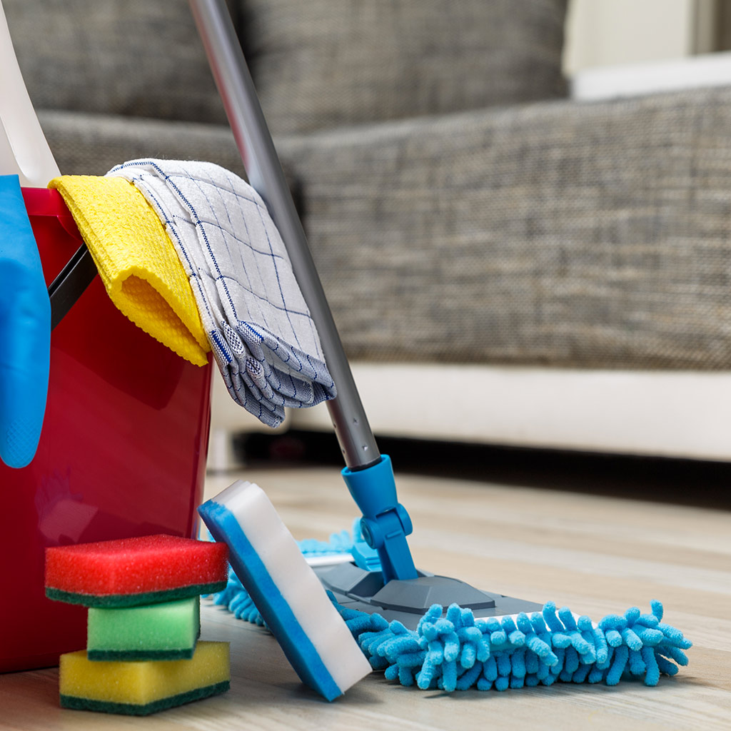 Entretien de la maison et travaux ménagers Lou Recate Services à la personne.